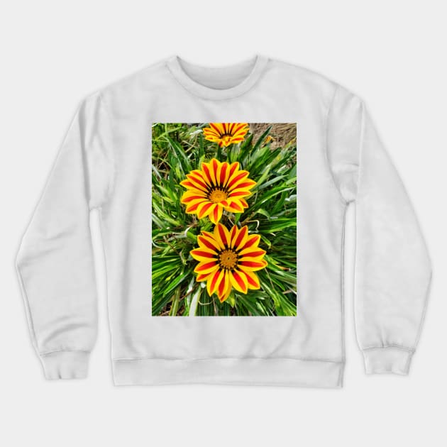 African Daisy Crewneck Sweatshirt by thadz